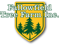 Fallowfield Tree Farm